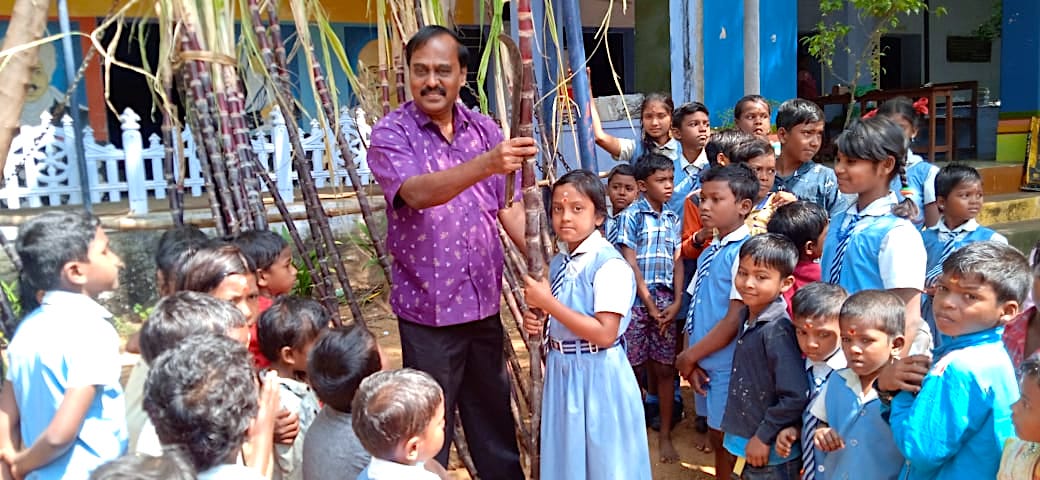 Pongal3